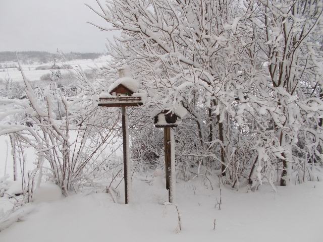 0703 001 (640x480).jpg