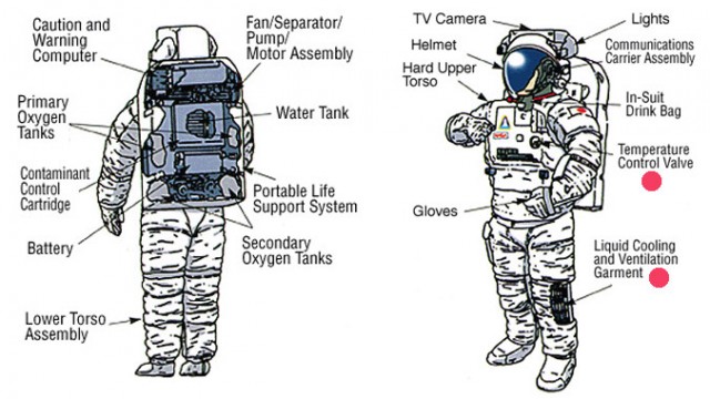 diagram.jpg