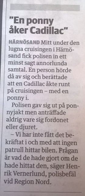 ponny åker caddy.jpg