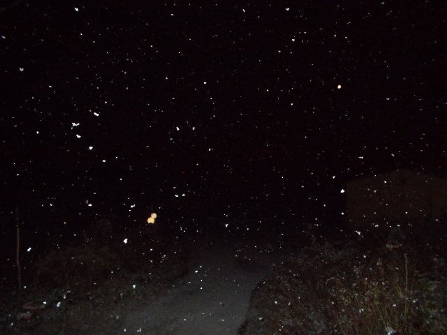 2016-11-03 001 (640x480).jpg
