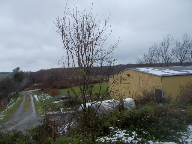 2016-11-05 003 (640x480).jpg