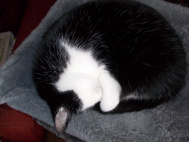 2016-11-05 001 (640x480).jpg