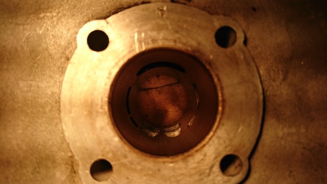 DSC_0014.jpg