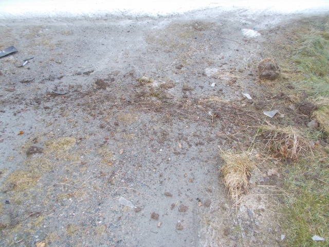 2016-12-07 002 (640x480).jpg