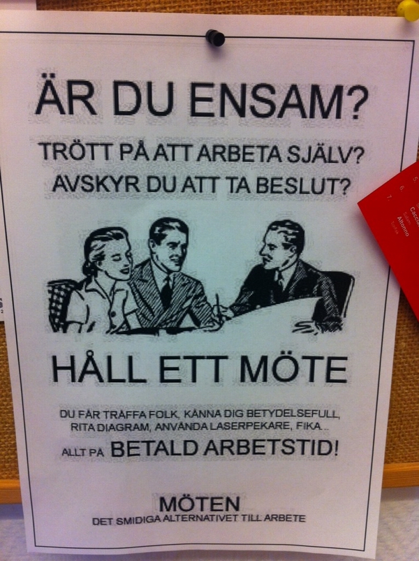 mote01.jpg