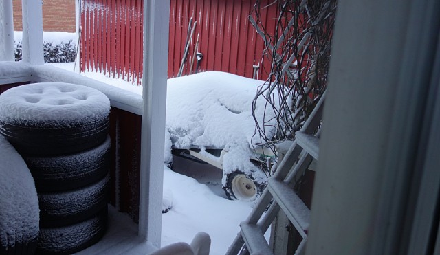 Snow.JPG
