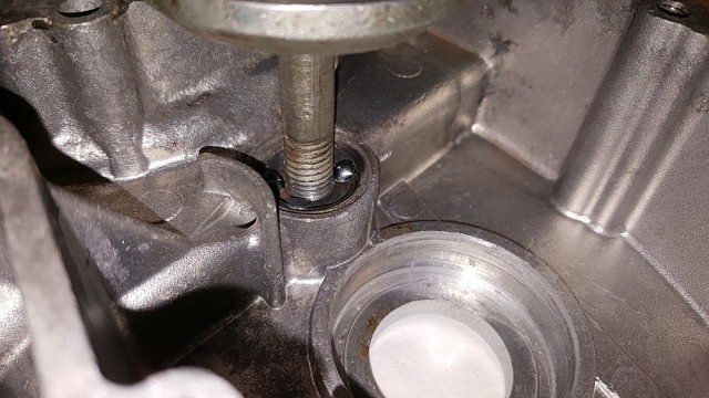 20170104_142016.jpg