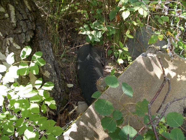 30-07 010 (640x480).jpg