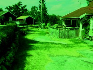 grön-miljö.jpg