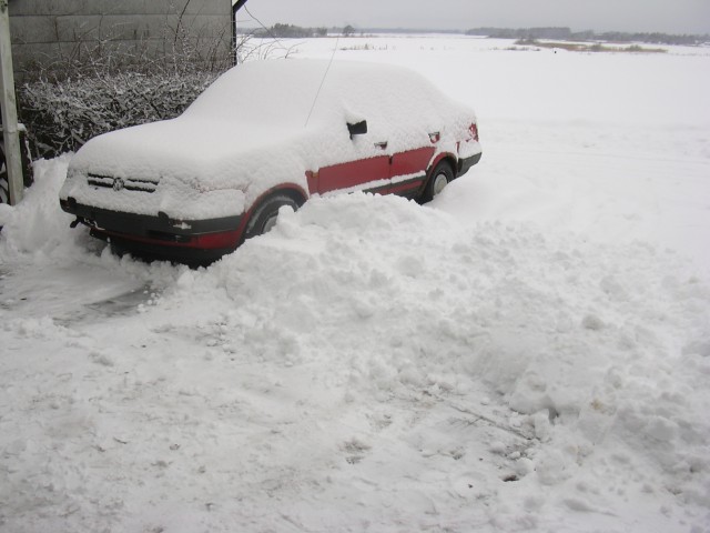 W w 01.JPG