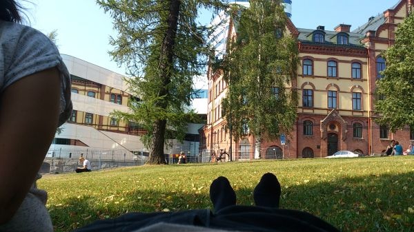 Rådhusparken