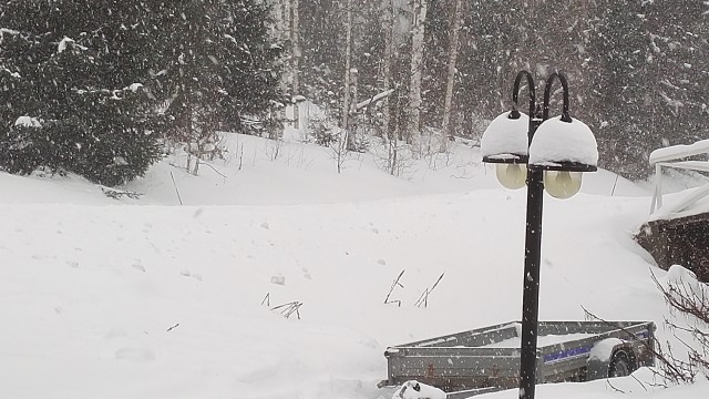 IMG_20170227_154815.jpg
