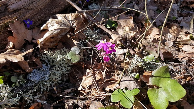 20170326_141557.jpg