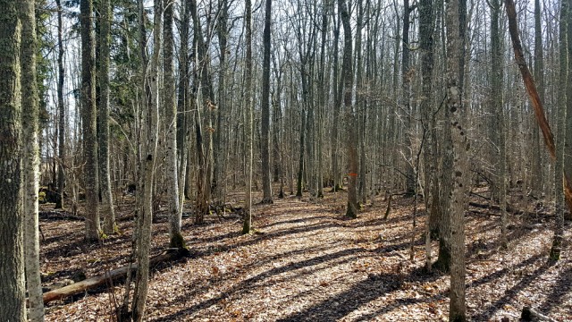 20170326_140444.jpg